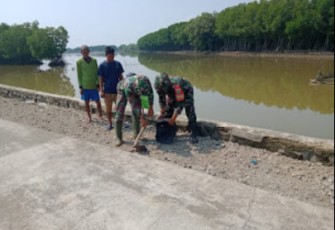 Pembangunan Turap Jalan