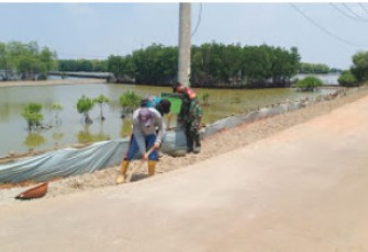 Pembangunan Pelebaran Jalan