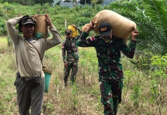 Satgas Pamtas Yonif 407/PK membantu warga mengani (memanen padi) milik warga Desa Seria, Kecamatan Ketungau Hulu, Kabupaten Sintang, Kalbar. Senin (15/03/2021)