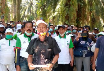 824 Anggota HKTI Kabupaten Seluma Duduki Lahan PT Agri Andalas Untuk Menuntut Kembali Haknya