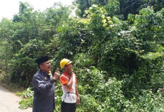 DPRD Benteng Pantau Jaringan Listrik yang Terganggu Semak Belukar