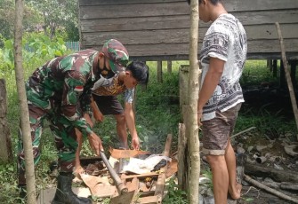 Babinsa Koramil 1206-01/Embaloh Bantu Bersihkan asrama Putra