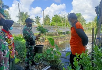 Babinsa Bersama Poktan, Siap Sukseskan Ketahanan Pangan Wilayah