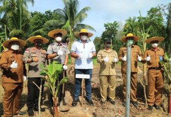 Plt Bupati Bintan Berharap Numbing Bisa Menjadi Sentral Penghasil Pisang di Bintan