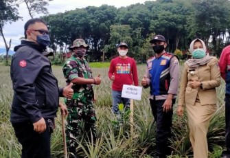 Manfaatkan lahan perhutani untuk masyarakat desa, Anggota DPRD Provinsi Jawa Timur, Heri Setiawan bersama masyarakat Desa Sempu, Kecamatan Ngancar, Kabupaten Kediri melakukan aksi penanaman 1.000 bibit buah