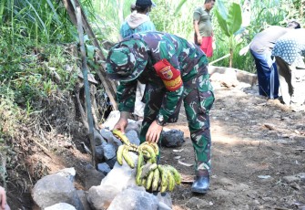 Pisang Penunda Lapar 