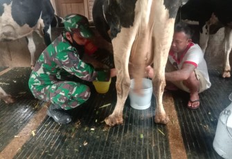 Foto Dok 