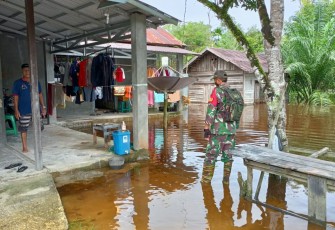 Babinsa Koramil Bukit Batu Pantau Kondisi Banjir di Wilayah Sei Gohong