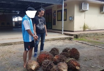 Terduga Pelaku Diamankan       