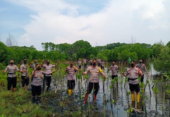 Polda Jateng menanam mangrove dalam kegiatan mageri Segoro Minggu (10/10) 