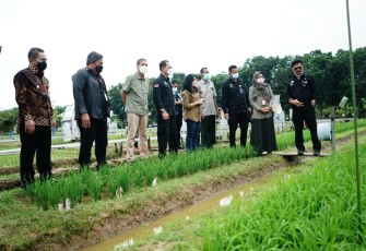 Kunjungan Menteri Pertanian di Pati