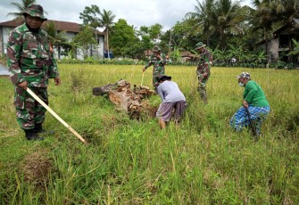 Gerebek tikus metode mengurangi hama petani
