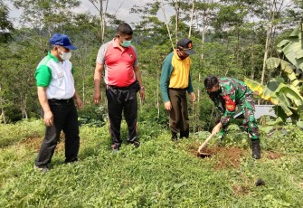 Tanam pohon untuk kelestarian lingkungan