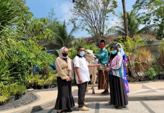 Samwil Bagikan 4 Sapi untuk Keluarga Terdampak Covid-19