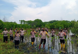 Polda Jateng menanam mangrove  laksanakan program Mageri Segoro