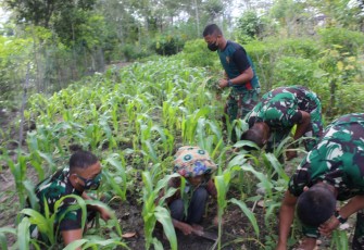 Satgas TMMD Bantu Lansia Bersihkan Kebun Jagung