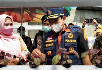 Wakil Walikota Bengkulu mewujudkan kampung berseri melalui merdeka sampah