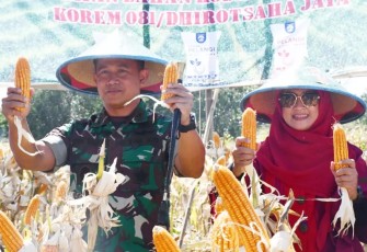Danrem Kolonel Deni Bersama Forkopimda saat Panen Raya Jagung di Ponorogo