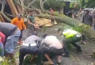 Polres Kepahiang Bersama BPBD Evakuasi Pohon Tumbang