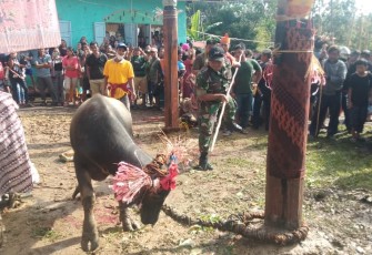 Ritual Adat Tiwah Desa Tumbang Baringei 