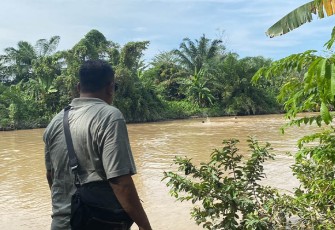 Pasca penggerebekan, penjudi nyebur ke sungai