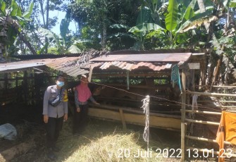 Polres Lebong Binluh dan Data Warga Miliki Hewan Ternak