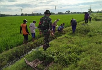 Serda Danang Bersama Para Petani saat Laksanakan Gropyokan Tikus