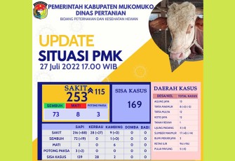 Update Perkembangan PMK di Mukomuko