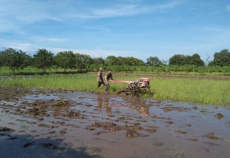 Babinsa Desa Sidorejo saat Bantu Bajak Sawah Petani.