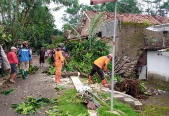 Sejumlah relawan tampak bantu warga terdampak angin puting beliung