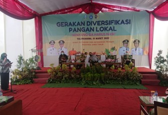 Sosialisasi gerakan diversifikasi pangan lokal di Tulungagung, oleh Dipertakp Jatim