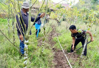  pemasangan Saluran Air di Lingkungan sekolah SDN 05 Perbatasan