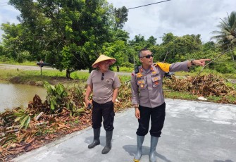 Kasatgasres Ops Damai Cartenz saat hendak Semai Bibit Padi