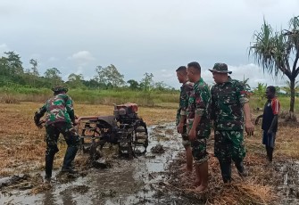 Dampingi Petani di Distrik Kimaam