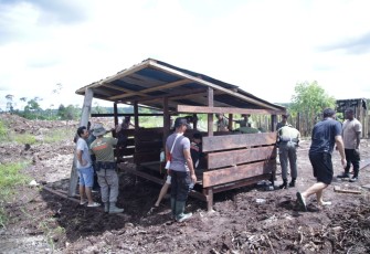 Kandang Babi di Lani Nduga, Wujud Nyata Sejahterakan 