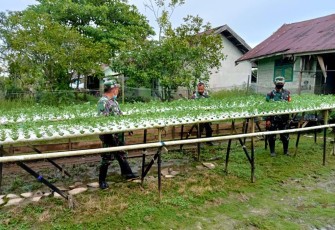  Ketahanan Pangan Dengan Program IFS