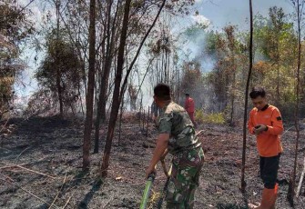 Pabung Katingan Mengerahkan Anggota Terjun Ke Lapangan Padamkan Api