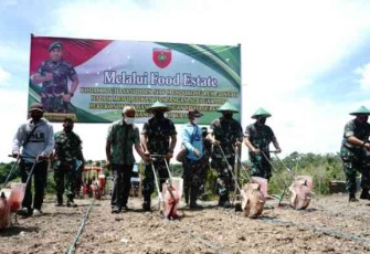 Pangdam Hasanuddin Canangkan Food Estate di Lokasi Bancee Rindam