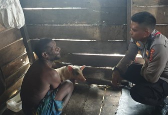 Penyuluhan Cara Ternak Babi, Satgas Binmas Sambangi Warga Kampung Moruku