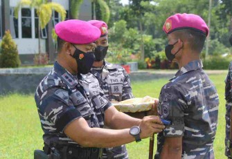 Tradisi Kenaikan Pangkat Bintara dan Tamtama Yonif 11 Marinir