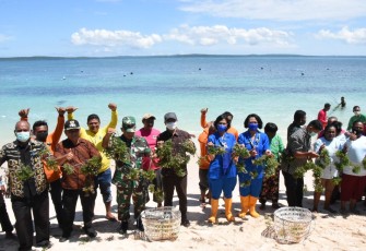  Panen Raya Hasil Budidaya Rumput Laut