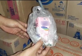 Susu kotak berbelatung 