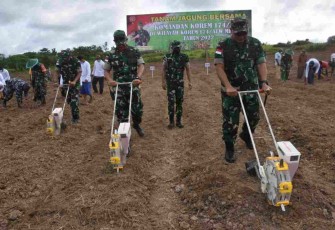 Danrem 174/Merauke pimpin mengolah lahan jagung. Sabtu (23/4/2022)
