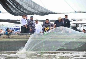 Kasal saat melempar jaring memanen udang Vaname. Rabu (11/05/2022)