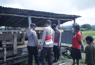 Sambangi keluarga Ulius Kogoya cek perkembangan ternak babi di Kenyam Kab.Nduga. Selasa (17/05/2022)