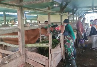 Sertu Supriyani cek hewan ternak warga binaannya