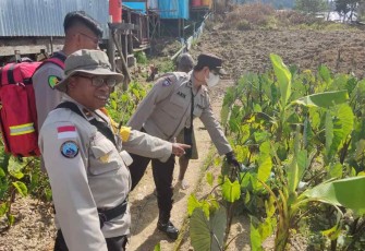 Ipda Arisandi Tancoma saat meninjau langsung kebun bapak Stevanus Belau