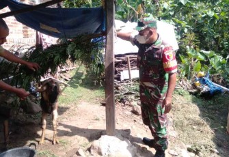 Serka Tukimin cek kebersihan kandang ternak warga binaan
