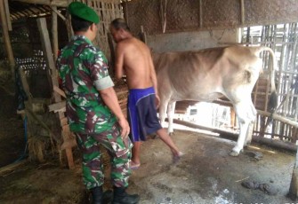 Pantau penyebaran virus PMK ternak warga binaan