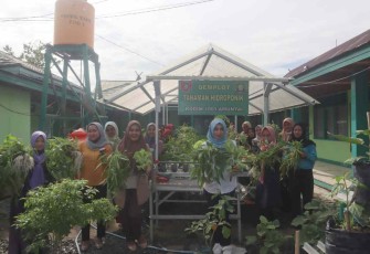 Panen sayur mayur di kebun hidroponik Kodim 1001/HSU-BLG 